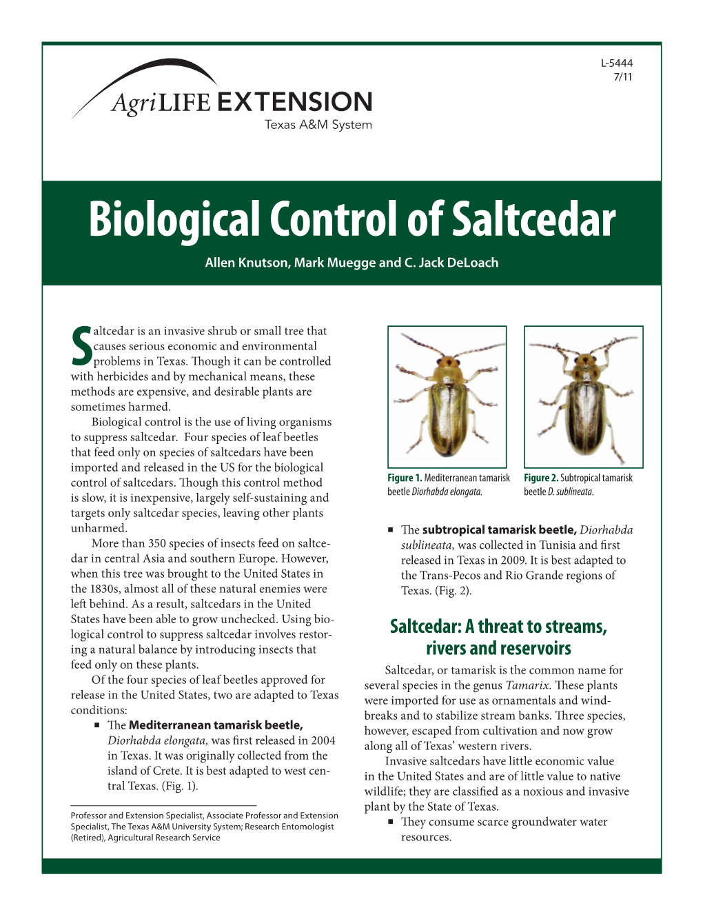 Biological Control of Saltcedar Allen Knutson, Mark Muegge and C