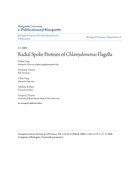 Radial Spoke Proteins of Chlamydomonas Flagella Pinfen Yang Marquette University, Pinfen.Yang@Marquette.Edu