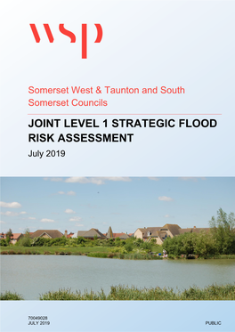 JOINT LEVEL 1 STRATEGIC FLOOD RISK ASSESSMENT July 2019