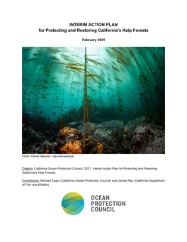 Interim Action Plan for Protecting and Restoring California's Kelp Forests