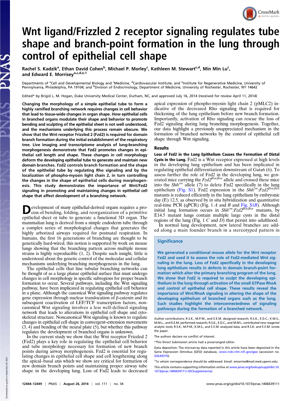 Wnt Ligand/Frizzled 2 Receptor Signaling Regulates Tube Shape and Branch-Point Formation in the Lung Through Control of Epithelial Cell Shape