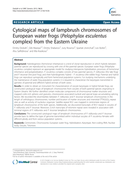 Cytological Maps of Lampbrush Chromosomes of European Water