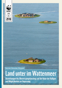 Land Unter Im Wattenmeer