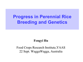 Progress in Perennial Rice Breeding and Genetics
