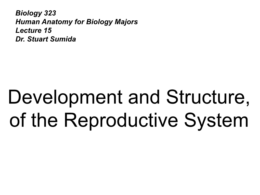 development-and-structure-of-the-reproductive-system-docslib