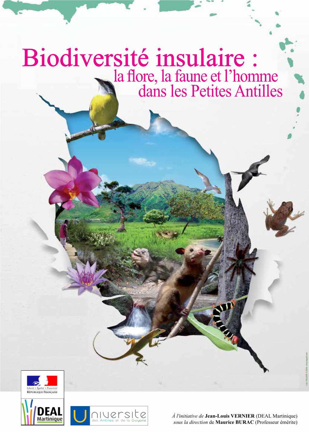 Biodiversité Insulaire : La Flore, La Faune Et L’Homme Dans Les Petites Antilles