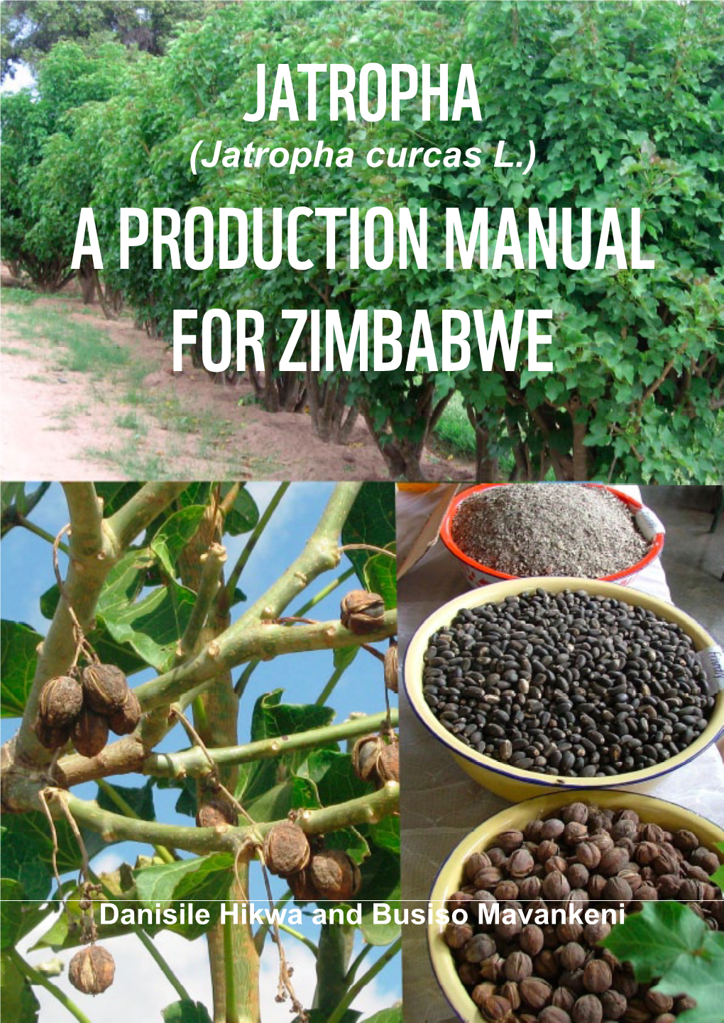 JATROPHA (Jatropha Curcas L.) a PRODUCTION MANUAL for ZIMBABWE