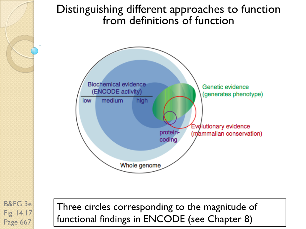 Distinguishing Different Approaches to Function from Definitions of Function