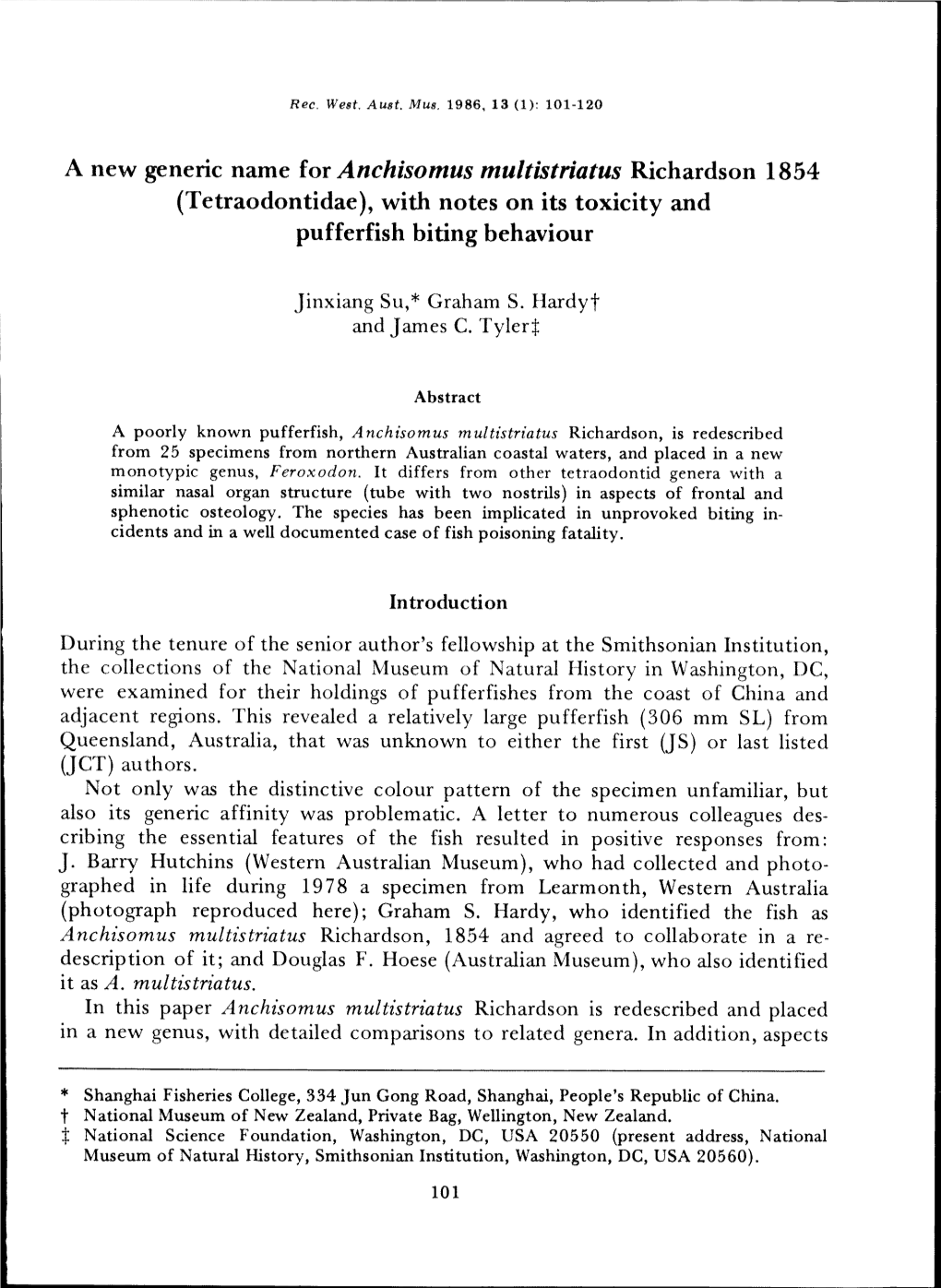 A New Generic Name for Anchisomus Multistriatus