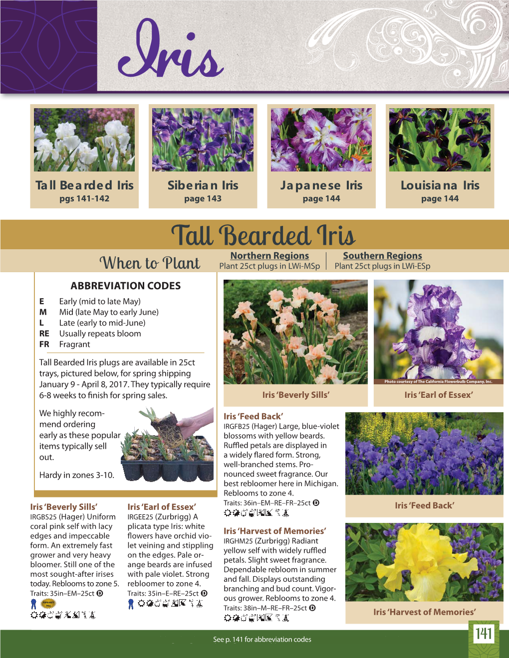 Tall Bearded Iris