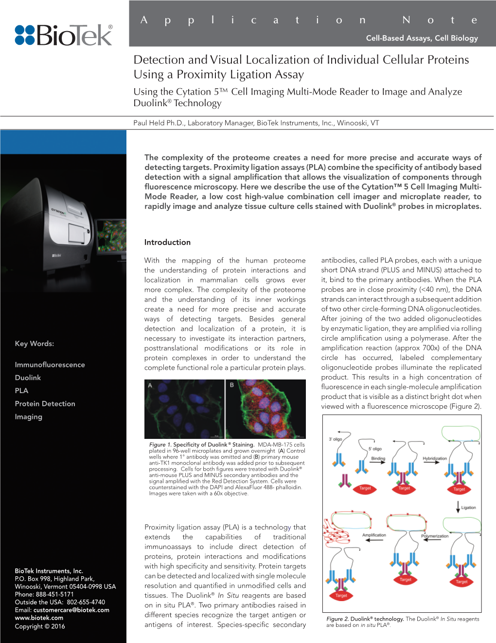 Detection and Visual Localization of Individual Cellular Proteins Using a Proximity Ligation Assay