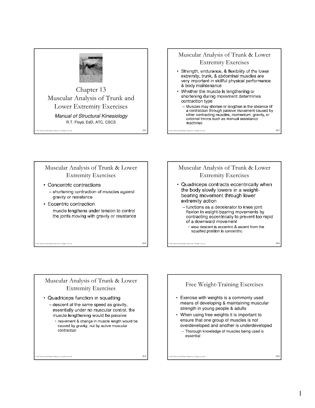 Chapter 13 Muscular Analysis of Trunk and Lower Extremity Exercises