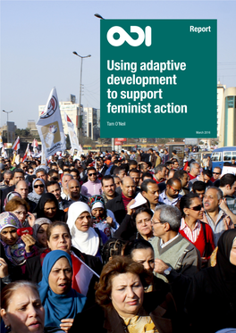 Using Adaptive Development to Support Feminist Action