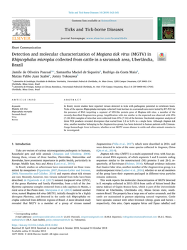 Detection and Molecular Characterization of Mogiana Tick Virus