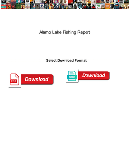 Alamo Lake Fishing Report
