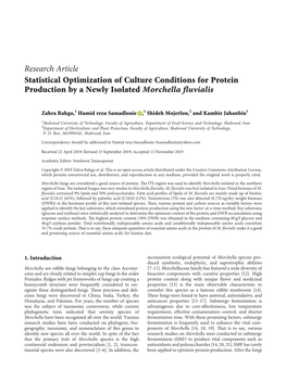 Statistical Optimization of Culture Conditions for Protein Production by a Newly Isolated Morchella Fluvialis