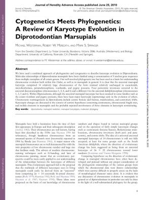 Westerman Et Al. 2010 Cytogenetics Meets Phylogenetics a Review Of