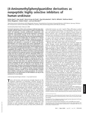 (4-Aminomethyl)Phenylguanidine Derivatives As Nonpeptidic Highly Selective Inhibitors of Human Urokinase
