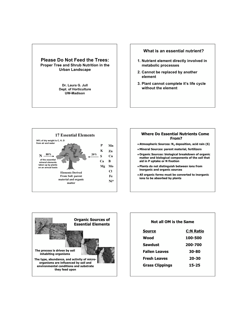 Fertilization Handout