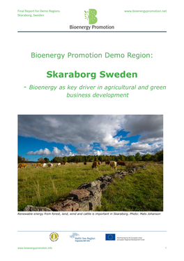 Skaraborg Sweden - Bioenergy As Key Driver in Agricultural and Green Business Development
