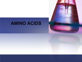 Amino Acids Amino Acid