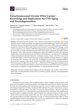 Extrachromosomal Circular DNA: Current Knowledge and Implications for CNS Aging and Neurodegeneration