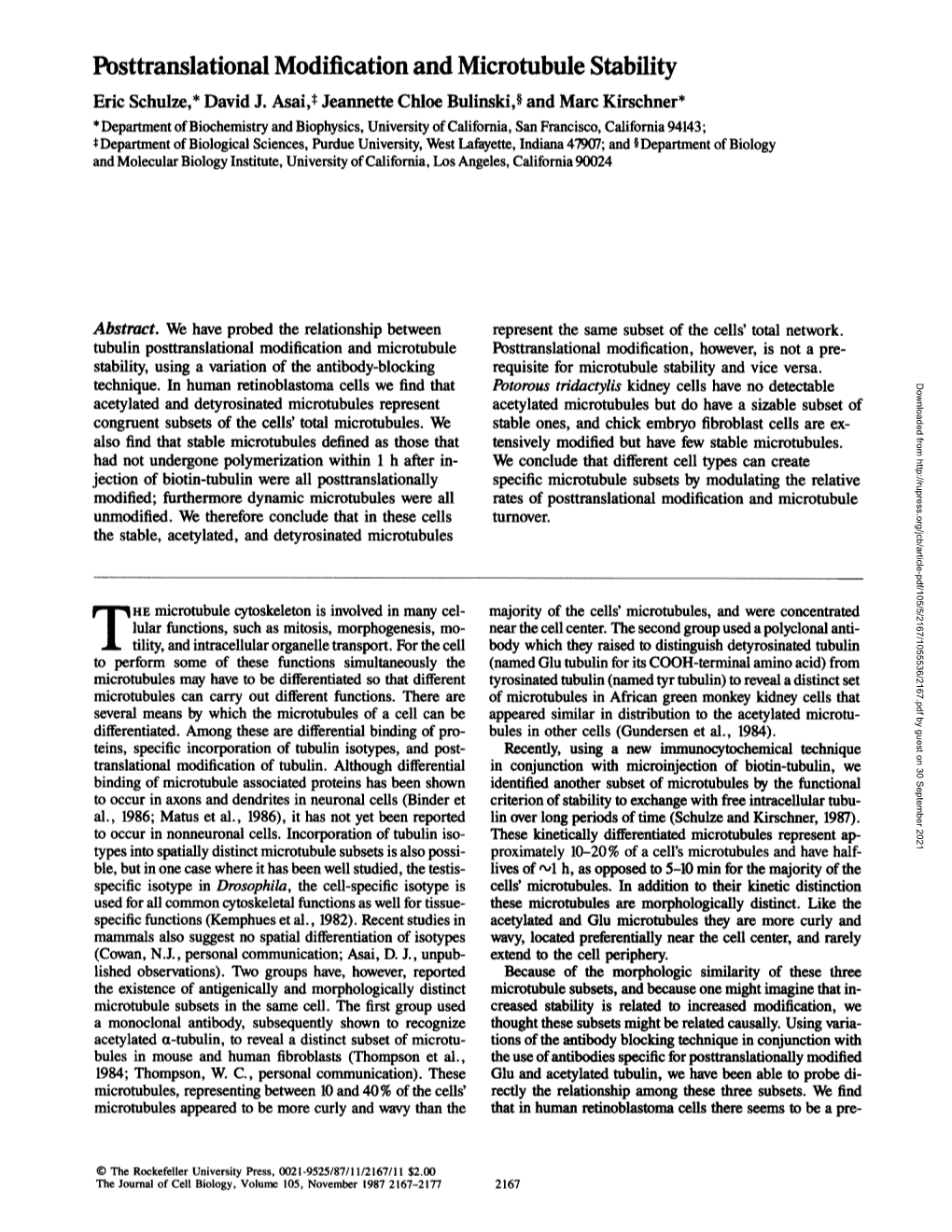 Posttranslational Modification and Microtubule Stability Eric Schulze,* David J