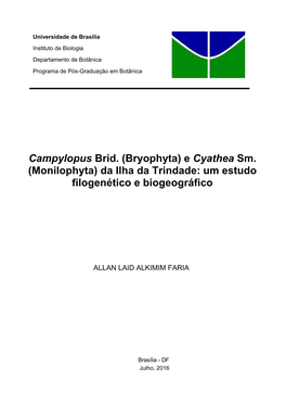 E Cyathea Sm. (Monilophyta) Da Ilha Da Trindade: Um Estudo Filogenético E Biogeográfico