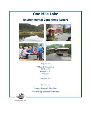 One Mile Lake Environmental Conditions Report