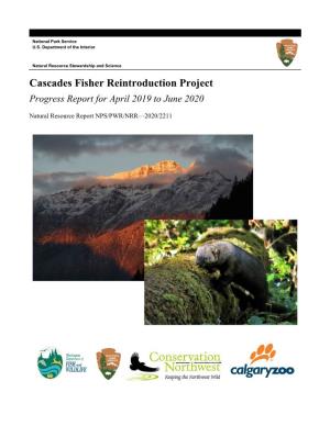 Cascades Fisher Reintroduction Project: Progress Report for April 2019 to June 2020