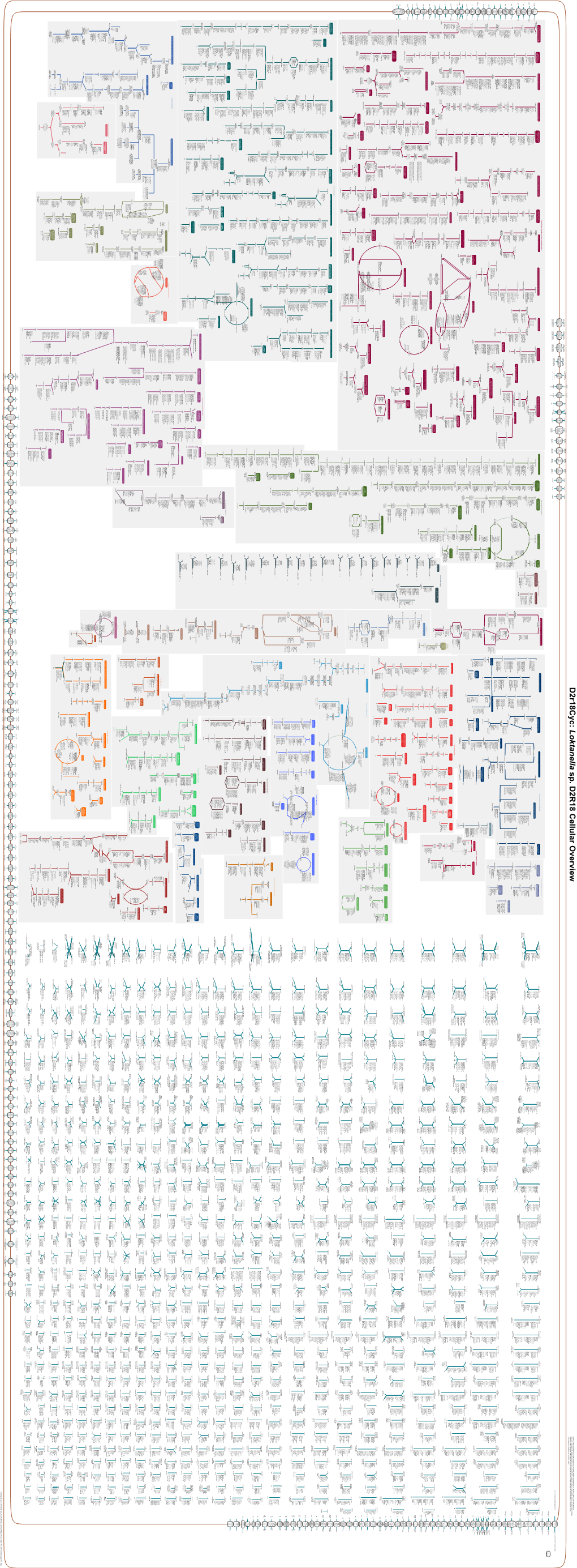 Generated by SRI International Pathway Tools Version 25.0