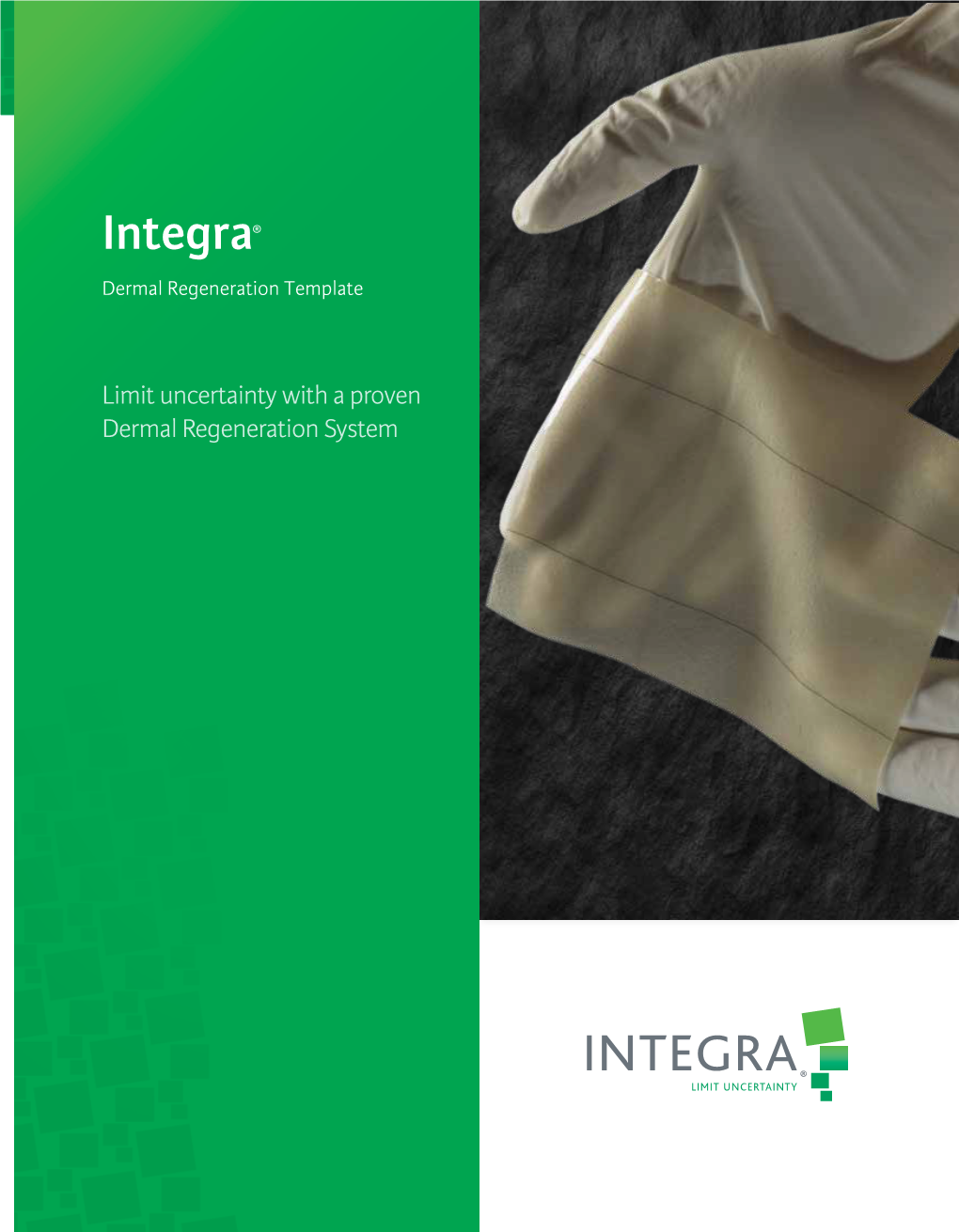 Integra® Dermal Regeneration Template
