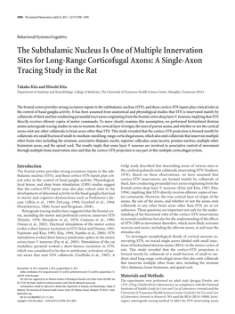 The Subthalamic Nucleus Is One of Multiple Innervation Sites for Long-Range Corticofugal Axons: a Single-Axon Tracing Study in the Rat