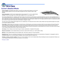 View PDF of Cuvier's Beaked Whale