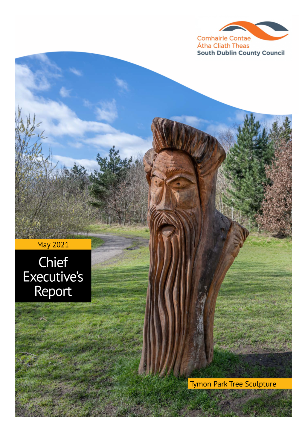 Chief Executive's Report