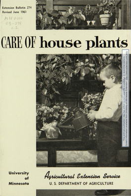 CARE of House Plants