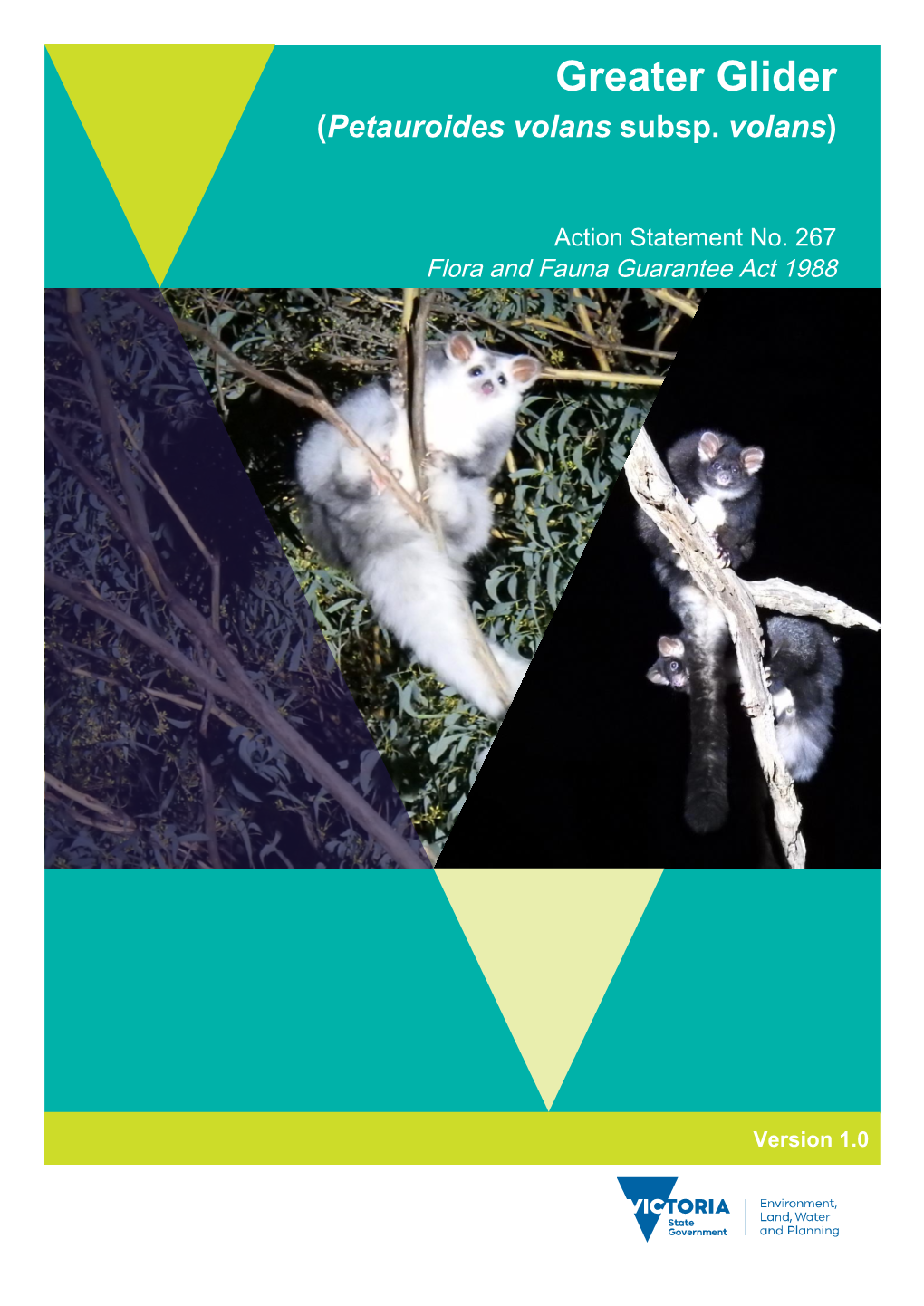 Greater Glider Action Statement 1 Executive Summary