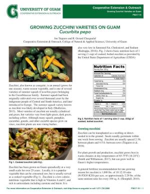 Cucurbita Pepo GROWING ZUCCHINI VARIETIES on GUAM