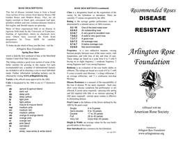 Disease Resistant Roses