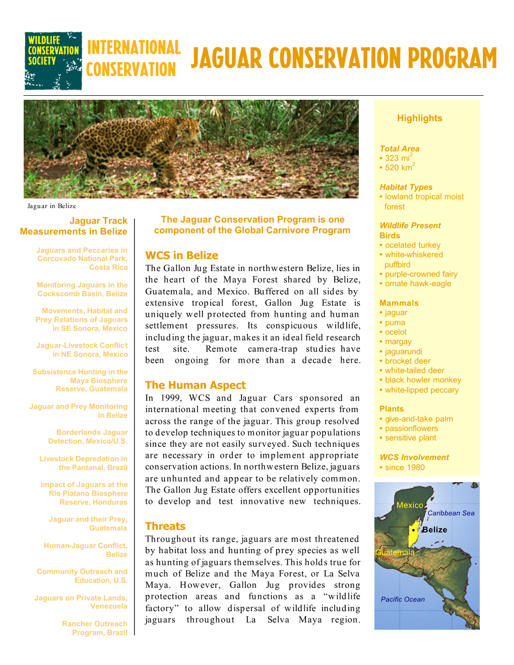 Jaguar Conservation Program