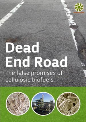 Dead End Road the False Promises of Cellulosic Biofuels // September 2018 // Biofuelwatch 1 Contents