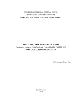 Dissertação Final Olivia Soares Cruz.Pdf