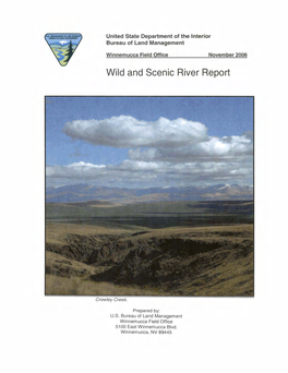 Wild and Scenic River Report