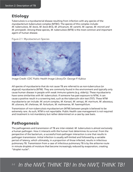 Pathogenesis the Pathogenesis and Transmission of TB Are Inter-Related