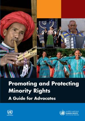 Promoting and Protecting Minority Rights a Guide for Advocates
