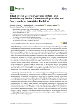 Effect of Trap Color on Captures of Bark- and Wood-Boring Beetles