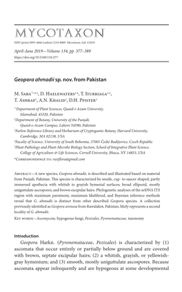 &lt;I&gt;Geopora Ahmadii&lt;/I&gt; Sp. Nov. from Pakistan