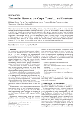 The Median Nerve at the Carpal Tunnel … and Elsewhere