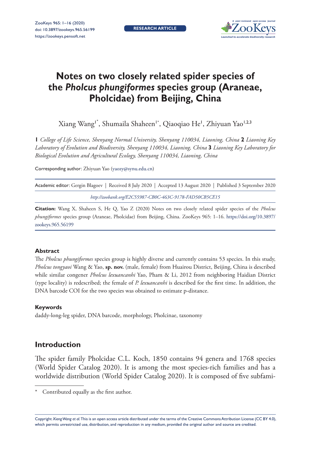 Notes on Two Closely Related Spider Species of the Pholcus Phungiformes Species Group (Araneae, Pholcidae) from Beijing, China