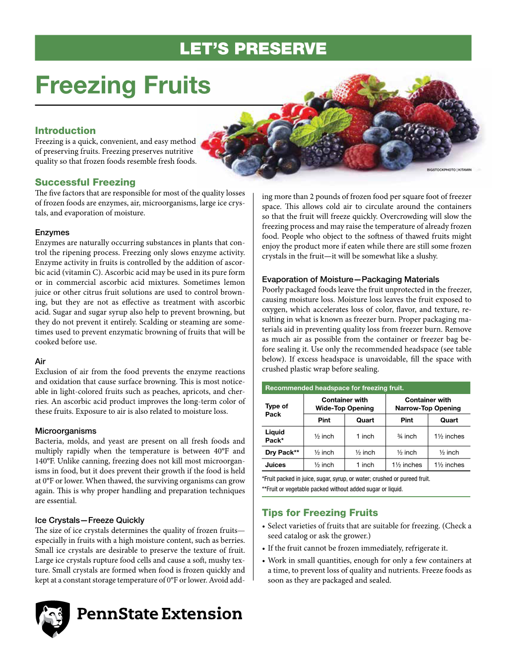 Freezing Fruits